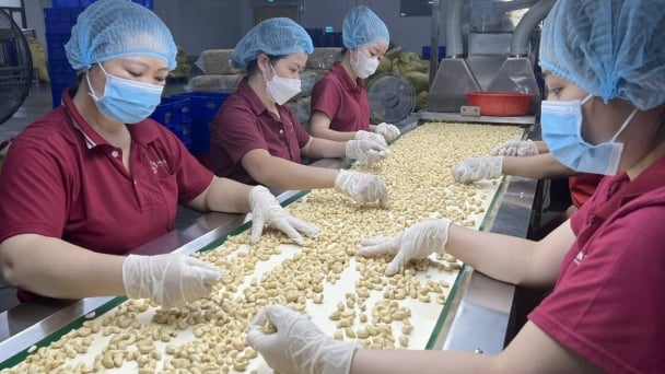 Vietnam-EU trade reaches nearly $300 bln after five years of EVFTA implementation